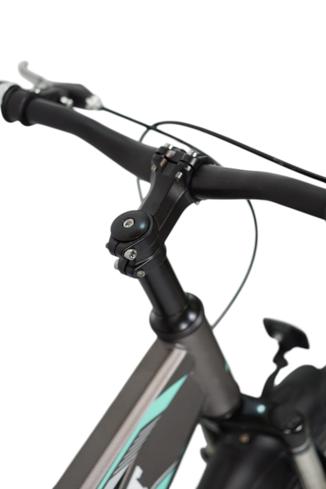 Super Orient 20 Inch Kids Fat Tyre Bicycle