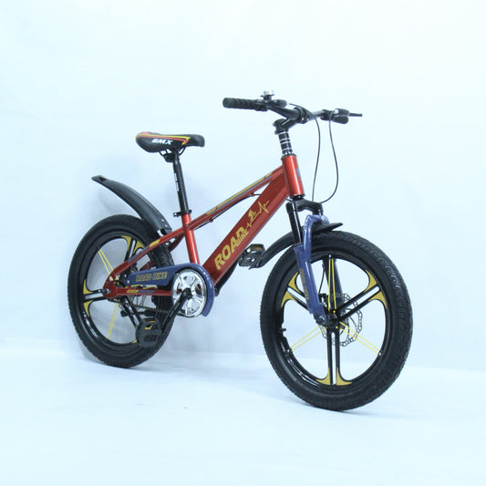 Sporty and Compact Bicycle Road Bike For Kids