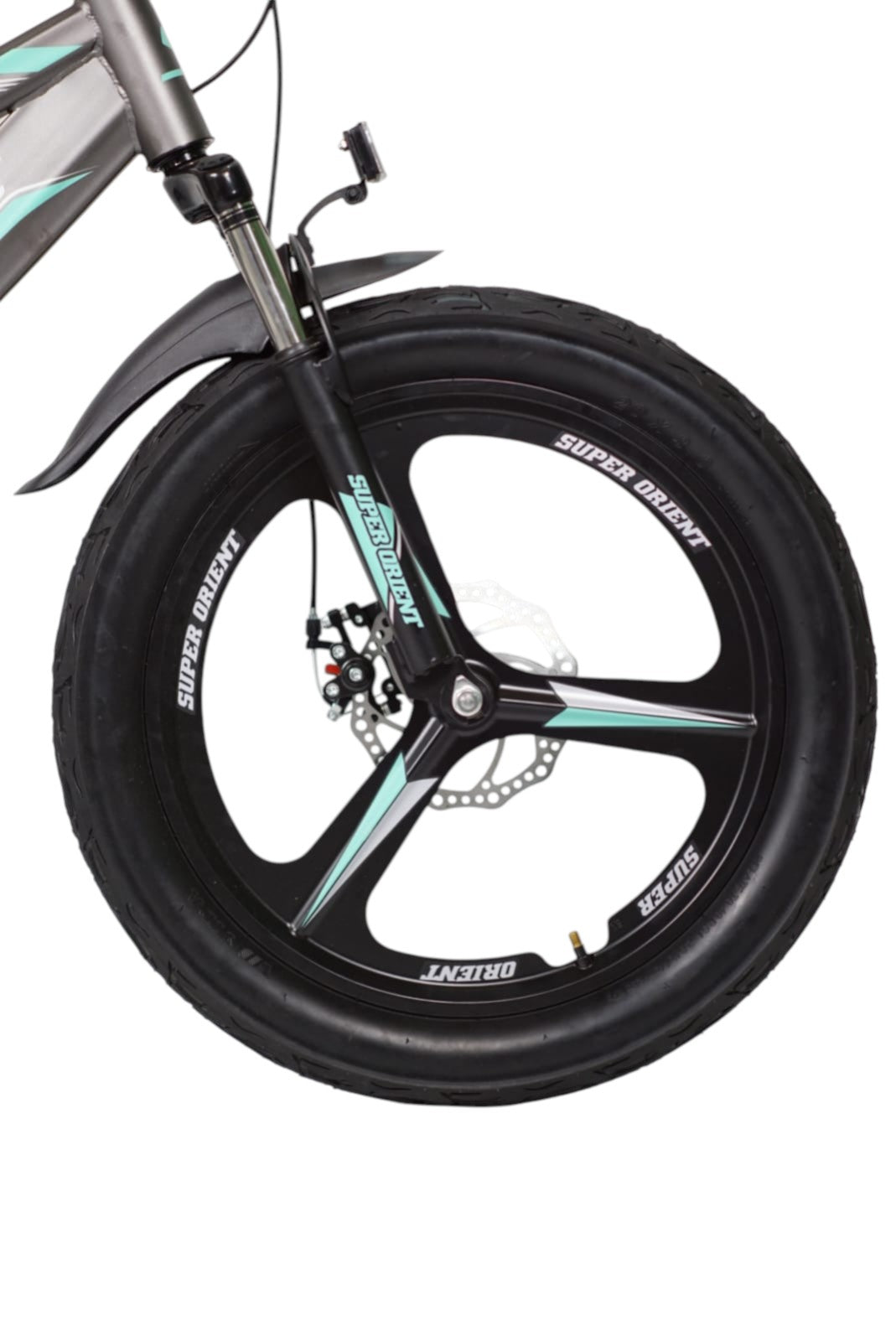 Super Orient 20 Inch Kids Fat Tyre Bicycle
