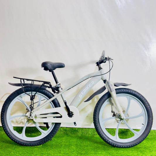 STRIKER 24 Inch Sports Bicycle Sleek Gray Edition
